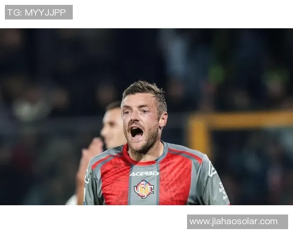 瓦尔迪成历史第二人38岁后单赛季为意甲升班马打入四球以上